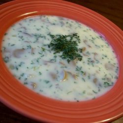 Darcy's Cream of Mushroom Soup recipe