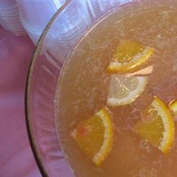 Fruity Party Punch recipe