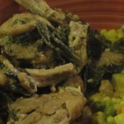 North African-Style Stewed Chicken recipe