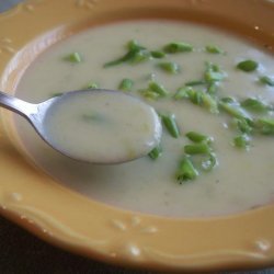 Cream of Scallion Soup recipe