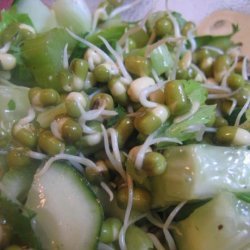 Cucumber Sprout Salad recipe