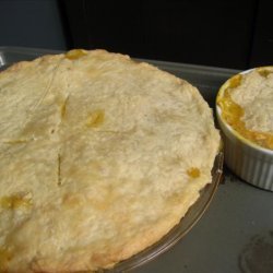 Basic Pie Crust I recipe