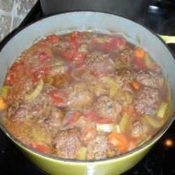 German Bavarian Meatball Stew recipe