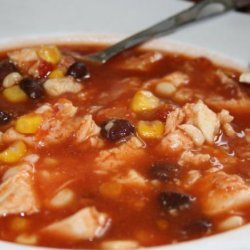 Banders Chicken Salsa Soup recipe