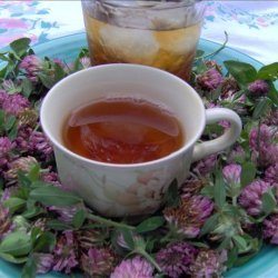 Red Clover Tea recipe