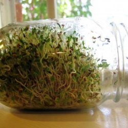 Sprouts (Grow Your Own) recipe