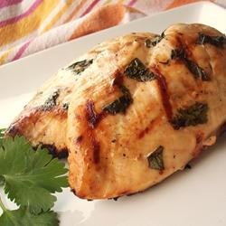 Beer Lime Grilled Chicken recipe
