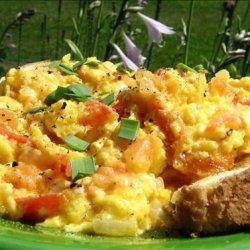 Tomato, Cheese & Egg Savoury recipe
