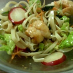 Spicy Noodles With Ginger-Garlic Shrimp and Wasabi Sauce recipe