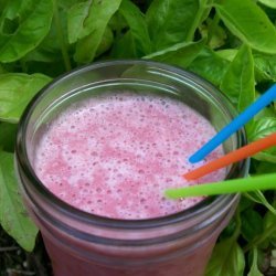 Lacy's Strawberry Protein Smoothie recipe
