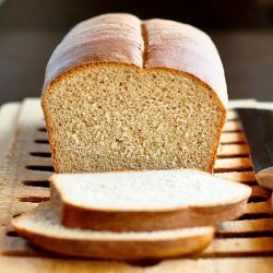 Basic Whole Wheat Bread recipe