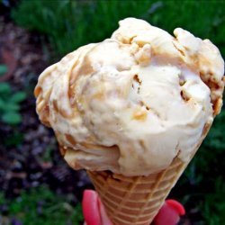 Dulce De Leche Ice Cream recipe