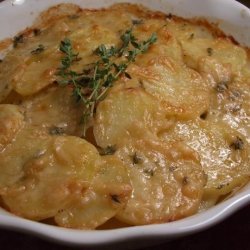 Gratin of Yukon Gold Potatoes recipe