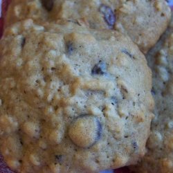 Applesauce Oatmeal Cookies recipe