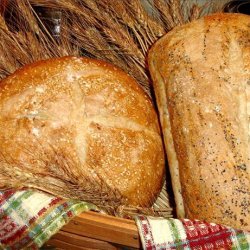 French Hearth Bread recipe
