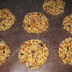 For the Birds -Bird Seed Cut Outs. recipe