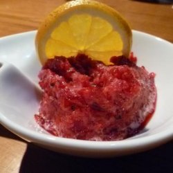 Cranberry Pineapple Sorbet recipe
