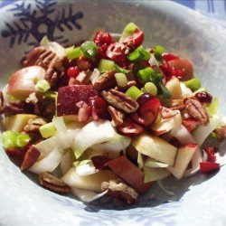 Belgian Endive and Apple Salad With Cranberry Vinaigrette recipe