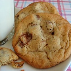 Reese's Premier Peanut Butter and Chocolate Cookies recipe