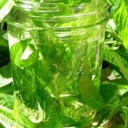 Lemon Verbena Water recipe