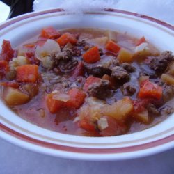 Crock Pot Root Vegetable Ground Beef Stew recipe