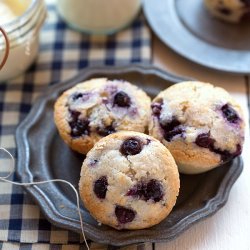 Blueberry Yogurt Muffins recipe