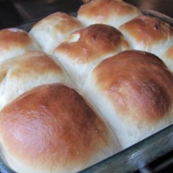 Yummy No Knead Bread Rolls recipe