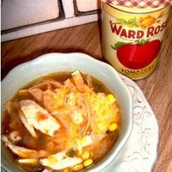 Southwestern Enchilada Chicken Soup recipe