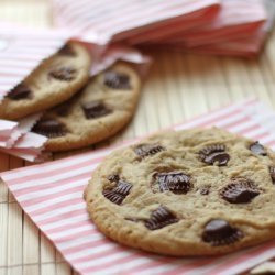 Giant Peanut Butter Cup Cookies recipe