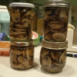 Pickled Mushrooms (Canned) recipe