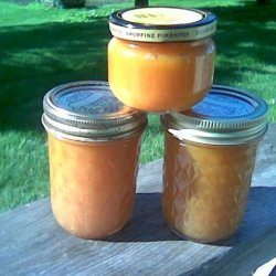 Apricot Honey Butter recipe