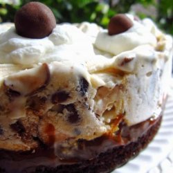 Chocolate Malt Ice-Cream Cake recipe