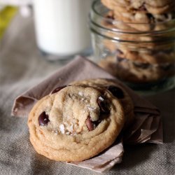 Chocolate Chip Butter Cookies recipe