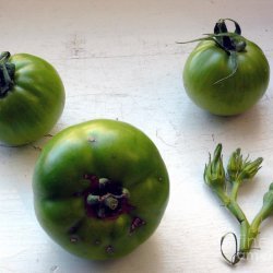 Okra and Tomatoes II recipe