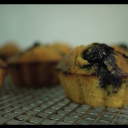 Blueberry Corn Muffins recipe