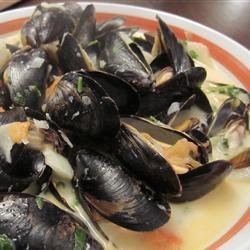 Steamed Mussels with Fennel, Tomatoes, Ouzo, and Cream recipe