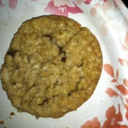 Easy Bake Oven Oatmeal Cookie Mix recipe