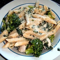 Even Easier Chicken Broccoli  or Spinach Alfredo recipe