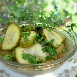 Pickled Fresh Cucumbers recipe