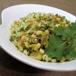 Sprouted Mung Bean Salad (Moong Salaad) recipe