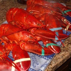 Maine Boiled Lobsters recipe