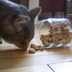 Mackerel Cat Munchies recipe