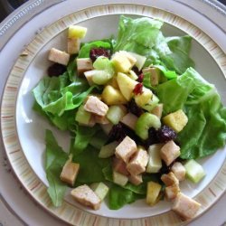 Turkey and Apple Salad (Ww) recipe