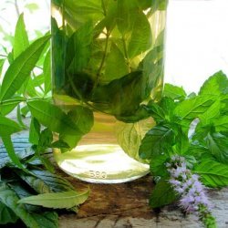Herbal Vinegar With Lemon Verbena & Mint recipe