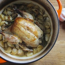 Chicken With Forty Cloves of Garlic recipe