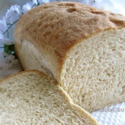 Wheat Germ and Honey Bread (Abm) recipe