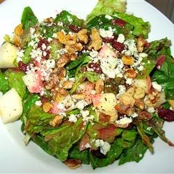 Fall Salad with Cranberry Vinaigrette recipe