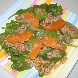 Orange Vinaigrette Brown Rice Salad recipe