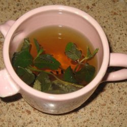 Bonnie's Mint Green Tea recipe