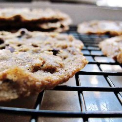 Thin and Crispy Chocolate Chip Cookies recipe